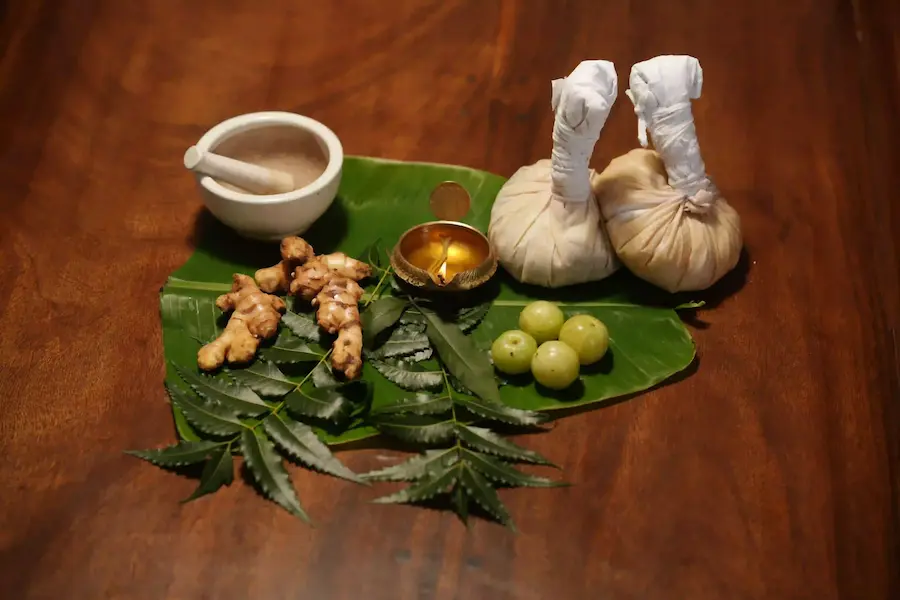Bodhi Ayurveda